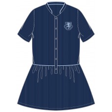 Dress (Navy Pinstripe)